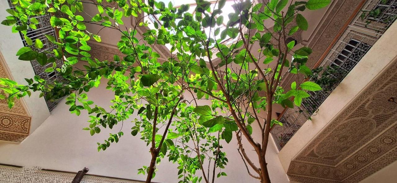 Riad 111 & Spa マラケシュ エクステリア 写真
