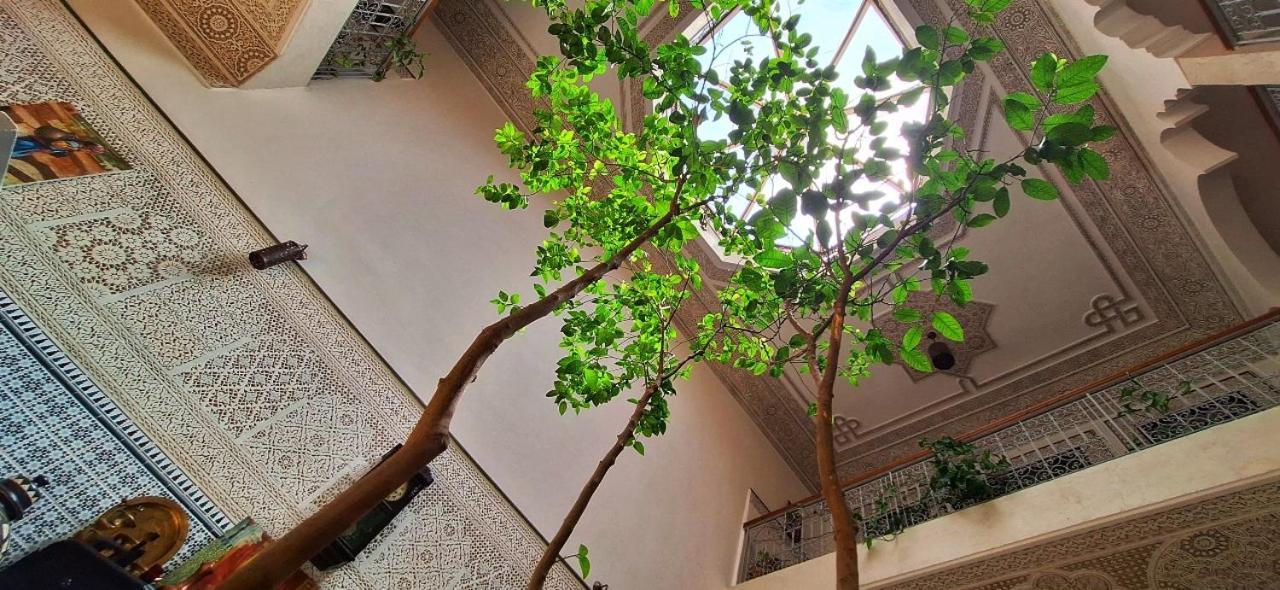 Riad 111 & Spa マラケシュ エクステリア 写真